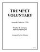 Trumpet Voluntary P.O.D cover
